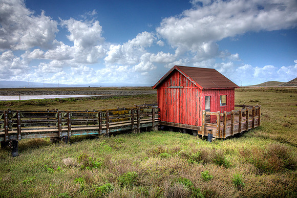 The Red Picnic House 1