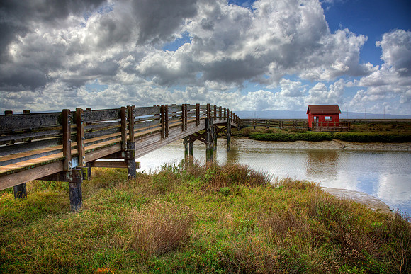 The Red Picnic House 2