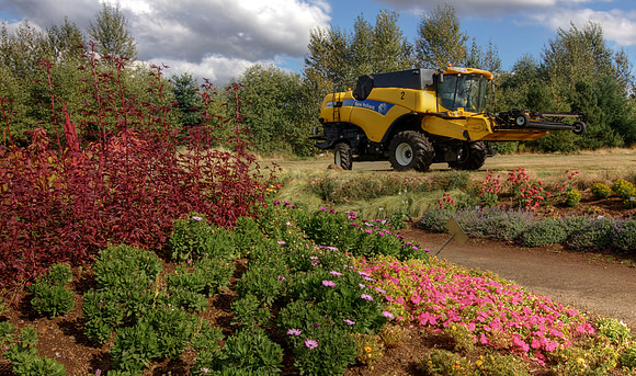 Flowers & Machines