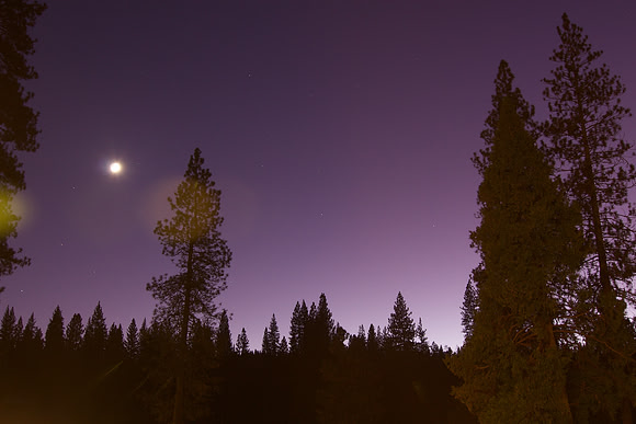 Purple Night at Yosemite