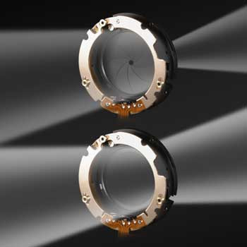 diaphragm-1350