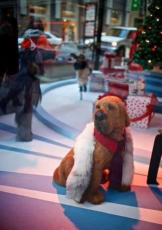 Xmas Window 2