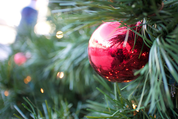 Stanford HolidayTree-2