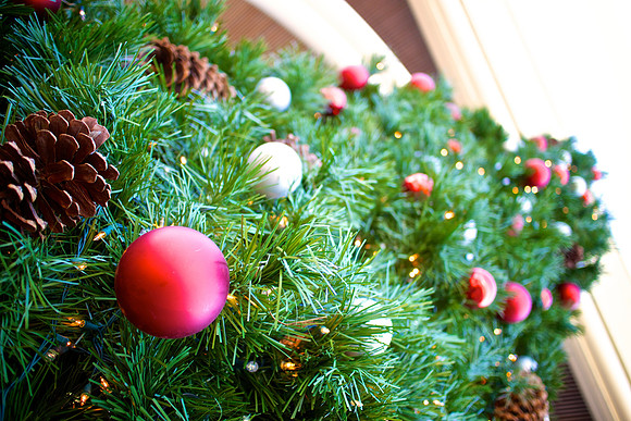 Stanford HolidayTree-1
