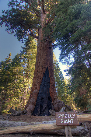 Yosemite 8