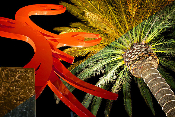 Palm Tree - WB