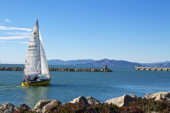 Sailing-Daylight