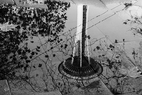 Space Needle Reflection