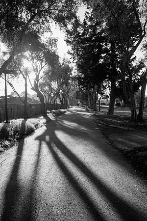 Shadowy Path