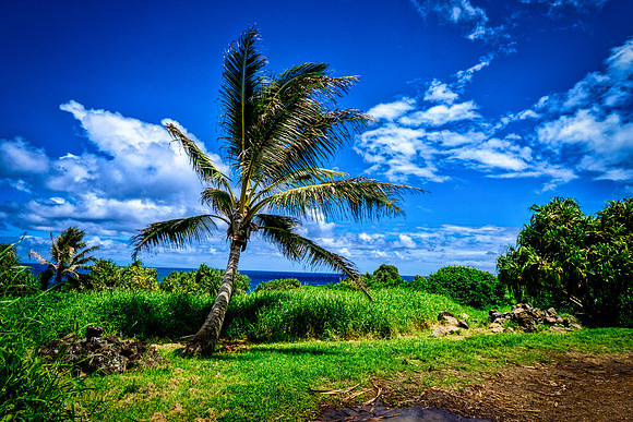 2016-MauiTrip-33