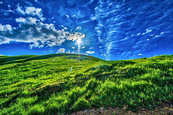 HaywardGarinRegionalPark-116